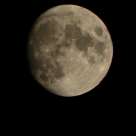 Meet your Posher, Sarah - Picture 1 of 1